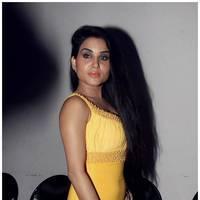 Kavya Singh Hot at Half Boil Movie Audio Launch Pictures | Picture 440429