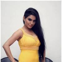 Kavya Singh Hot at Half Boil Movie Audio Launch Pictures