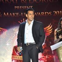 Salman-Hrithik-Kareena at Bharat N Dorris Hair & Make-up Awards 2013 Stills | Picture 444808