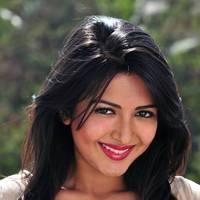 Telugu actress Katrina Hot Images | Picture 445072
