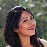 Telugu actress Katrina Hot Images | Picture 445077