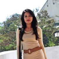 Telugu actress Katrina Hot Images | Picture 445083