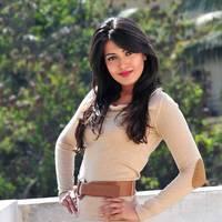 Telugu actress Katrina Hot Images | Picture 445085