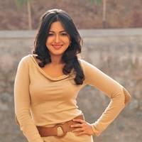 Telugu actress Katrina Hot Images | Picture 445018