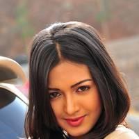Telugu actress Katrina Hot Images | Picture 445021