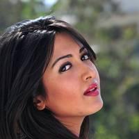 Telugu actress Katrina Hot Images | Picture 445022