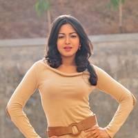 Telugu actress Katrina Hot Images | Picture 445027