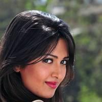 Telugu actress Katrina Hot Images | Picture 445030