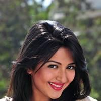 Telugu actress Katrina Hot Images | Picture 445122
