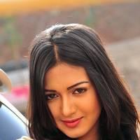 Telugu actress Katrina Hot Images | Picture 445039