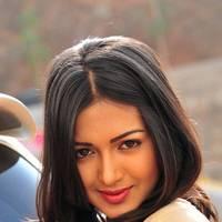 Telugu actress Katrina Hot Images | Picture 445046