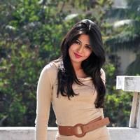 Telugu actress Katrina Hot Images | Picture 445156
