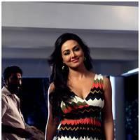Sana Khan Hot Stills in Gajjala Gurram Movie | Picture 526150