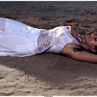 Sana Khan Hot Stills in Gajjala Gurram Movie | Picture 526153