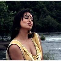 Sana Khan Hot Stills in Gajjala Gurram Movie | Picture 526161