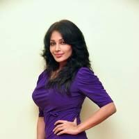 Flora Saini aka Asha Saini Hot at Sahasra Success Meet Photos | Picture 529137