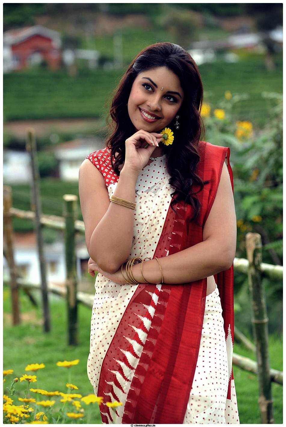Richa Gangopadhyay Latest Images | Picture 531282