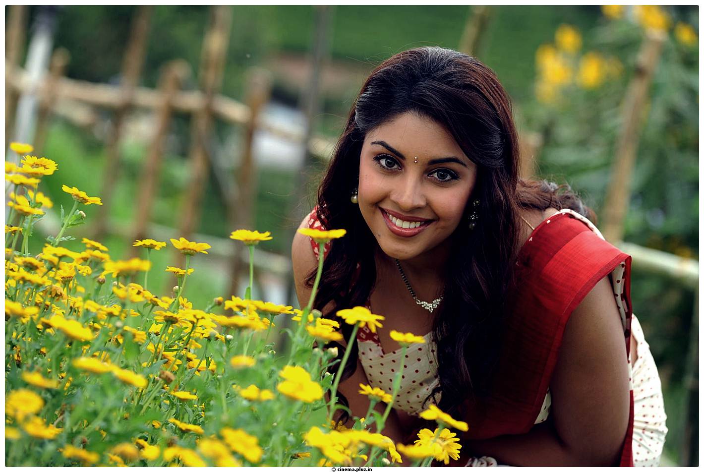 Richa Gangopadhyay Latest Images | Picture 531283