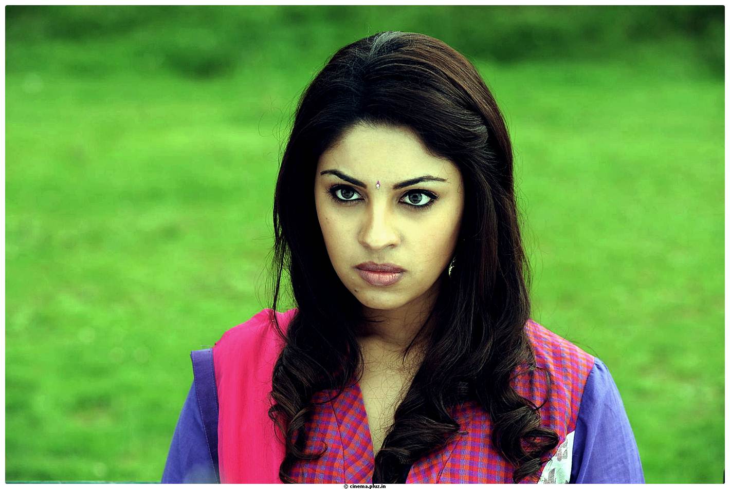 Richa Gangopadhyay Latest Images | Picture 531336