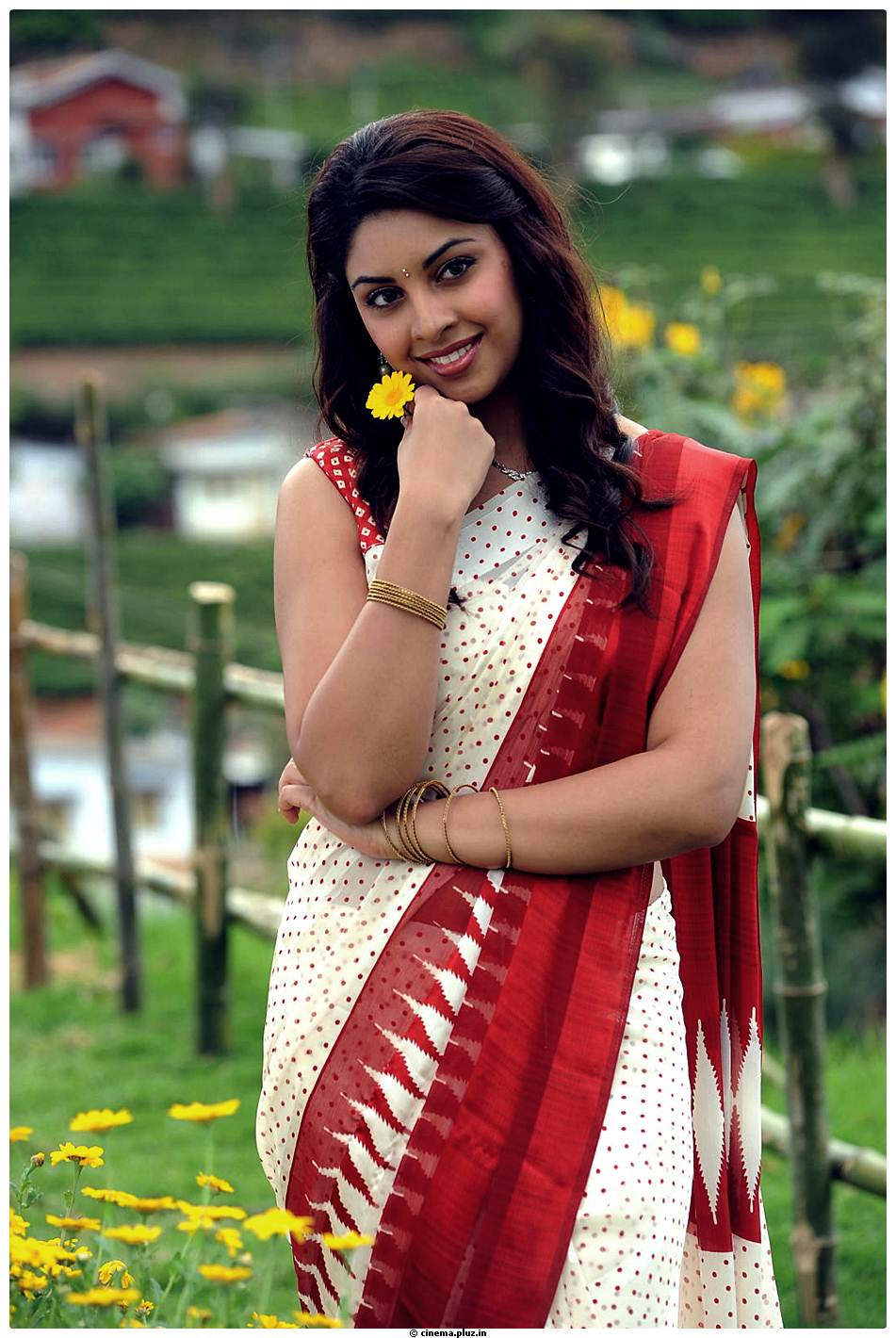 Richa Gangopadhyay Latest Images | Picture 531340