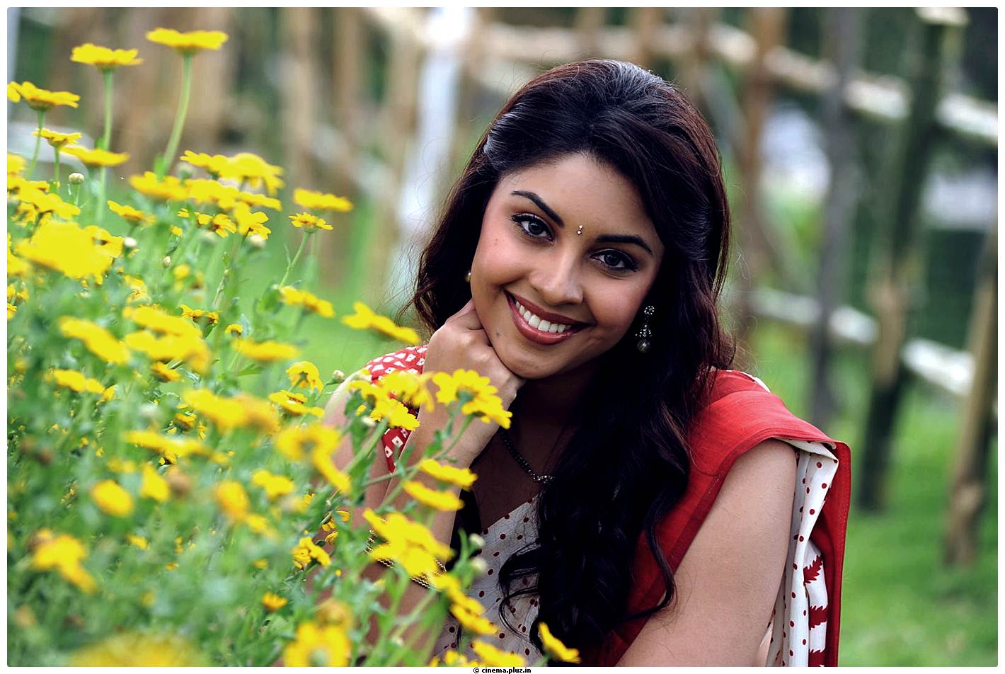 Picture 531346 | Richa Gangopadhyay Latest Images