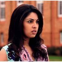 Richa Gangopadhyay Latest Images | Picture 531251