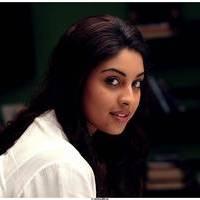 Richa Gangopadhyay Latest Images | Picture 531254