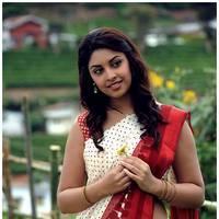 Richa Gangopadhyay Latest Images | Picture 531256