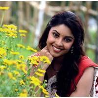 Richa Gangopadhyay Latest Images | Picture 531259