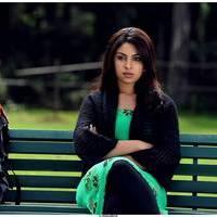 Richa Gangopadhyay Latest Images | Picture 531264