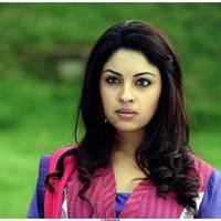 Richa Gangopadhyay Latest Images | Picture 531271