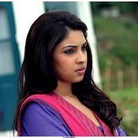 Richa Gangopadhyay Latest Images | Picture 531273