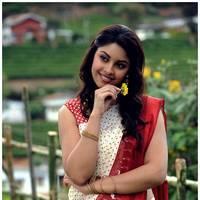 Richa Gangopadhyay Latest Images | Picture 531275