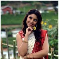 Richa Gangopadhyay Latest Images | Picture 531282
