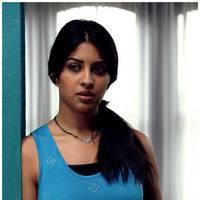 Richa Gangopadhyay Latest Images | Picture 531286