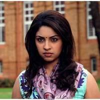 Richa Gangopadhyay Latest Images | Picture 531297