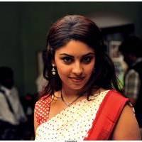 Richa Gangopadhyay Latest Images | Picture 531298