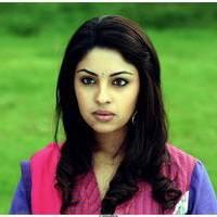 Richa Gangopadhyay Latest Images | Picture 531302