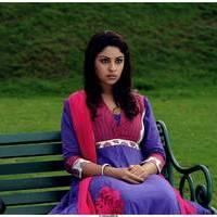 Richa Gangopadhyay Latest Images | Picture 531310