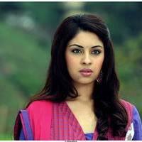 Richa Gangopadhyay Latest Images | Picture 531311