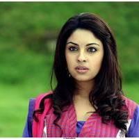 Richa Gangopadhyay Latest Images | Picture 531315