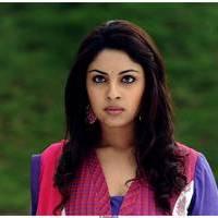 Richa Gangopadhyay Latest Images | Picture 531319