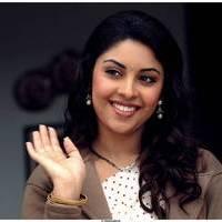 Richa Gangopadhyay Latest Images | Picture 531320