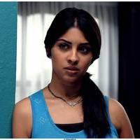 Richa Gangopadhyay Latest Images | Picture 531325