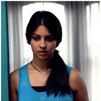Richa Gangopadhyay Latest Images | Picture 531327