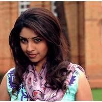 Richa Gangopadhyay Latest Images | Picture 531331