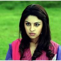 Richa Gangopadhyay Latest Images | Picture 531336