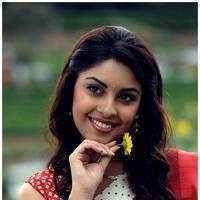 Richa Gangopadhyay Latest Images | Picture 531337