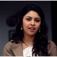 Richa Gangopadhyay Latest Images | Picture 531341