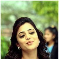 Nisha Agarwal Latest Pictures | Picture 532029